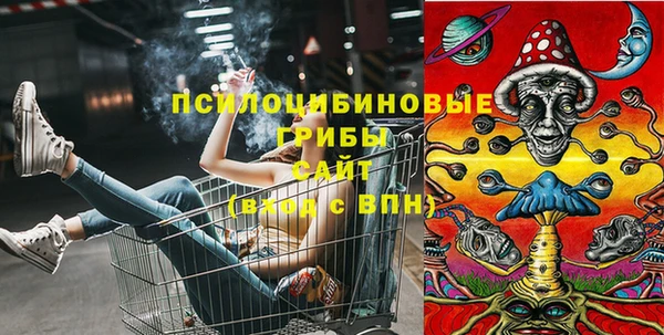 метадон Дмитриев